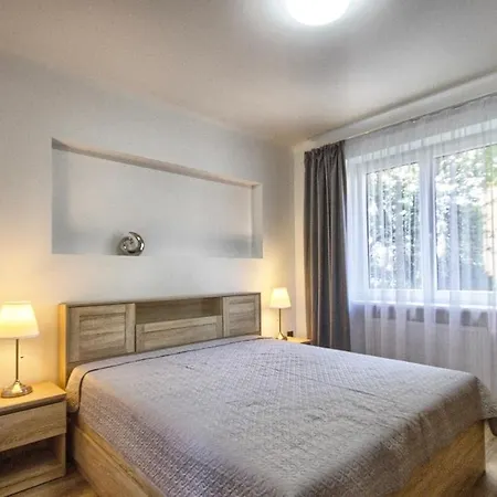 Apartment In Kaunas